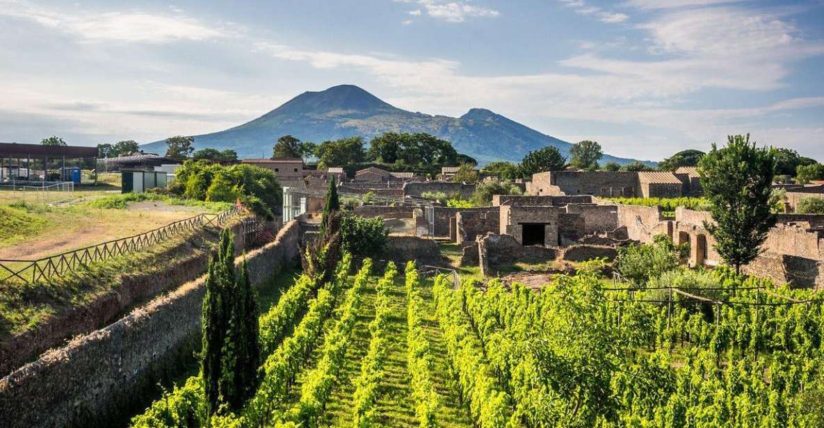 Naples: Vesuvius, Pompeii, and Vineyards Tour - Important Travel Information