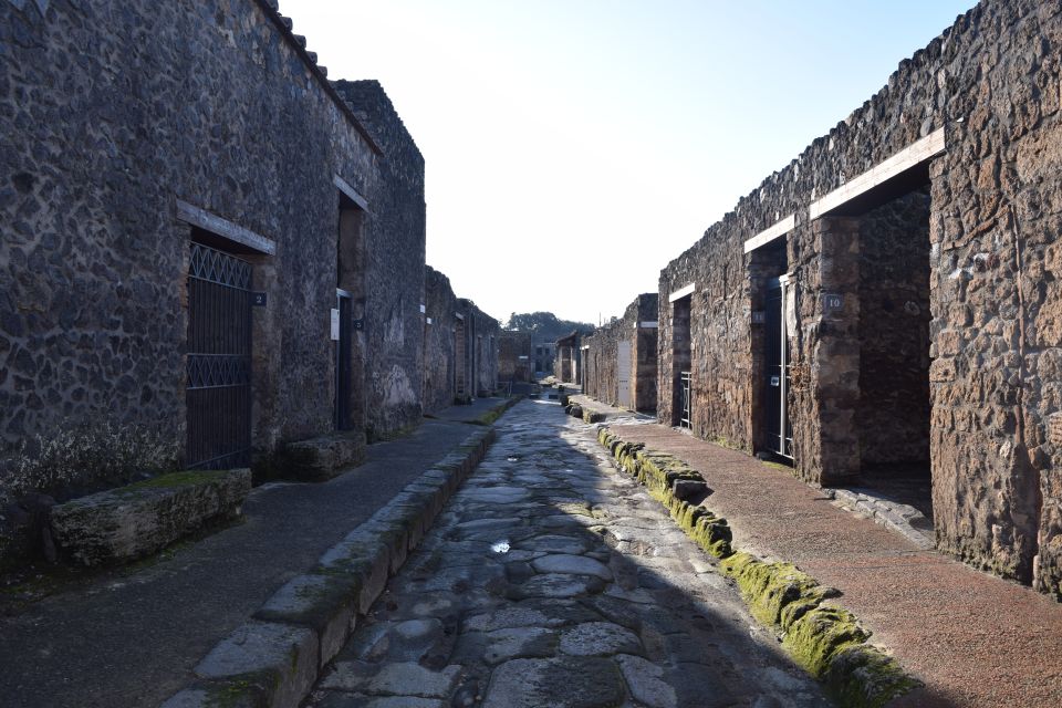 Pompei: 3-Hour Private Tour, Villa of the Mysteries & Lunch - Frequently Asked Questions