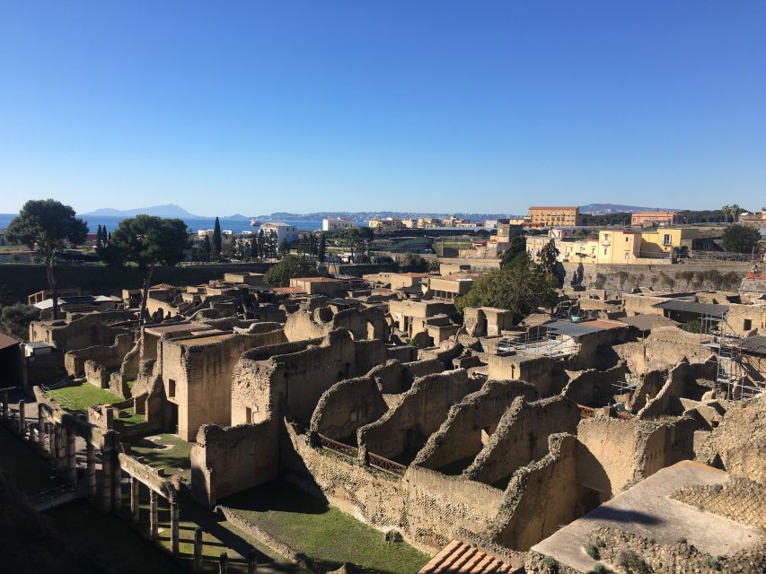 Pompeii and Herculaneum: Guided Tour With an Archaeologist - Additional Information