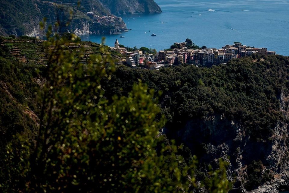 Private Cinque Terre Tour From Florence With Optional Hike - Booking Information