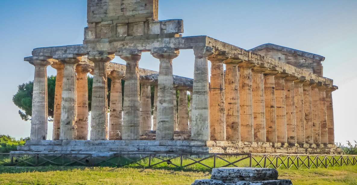 Private Tour From Naples to the Greek Temples of Paestum - Included Services