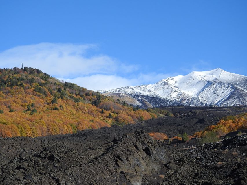 Taormina and Catania: Private Guided Etna Hike by Cable Car - Important Information