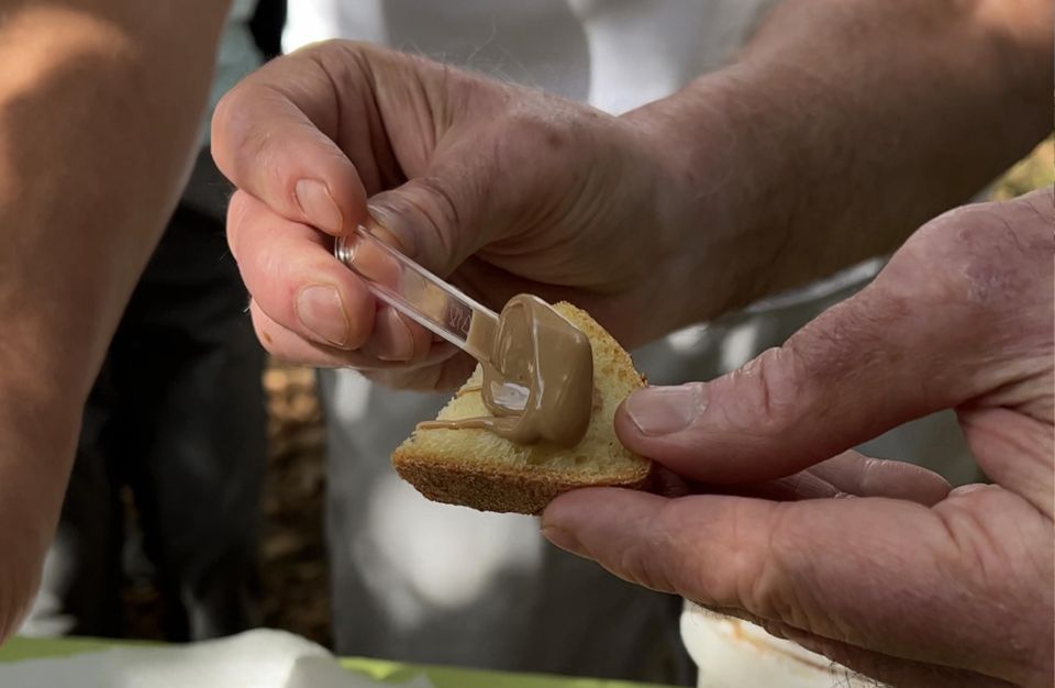 Taormina: Food and Wine Tour Also in Vintage Car - Important Information