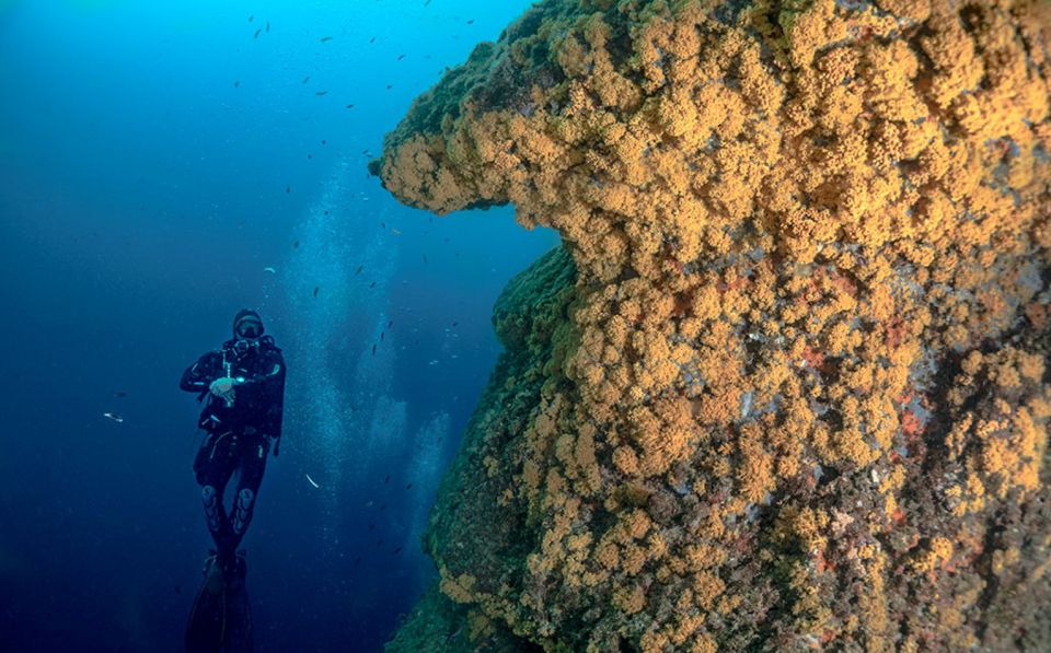 Torre Annunziata: Course to Become a Diver - Participant Requirements