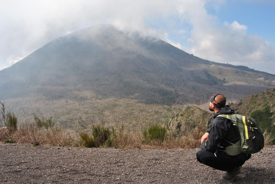 Vesuvio: 3h Trekking Tour With Volcanological Guide - Group Size and Highlights