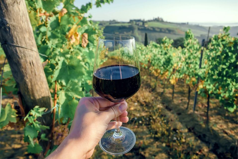 Florence: Private Half-Day Chianti Tour - Accessibility and Experience