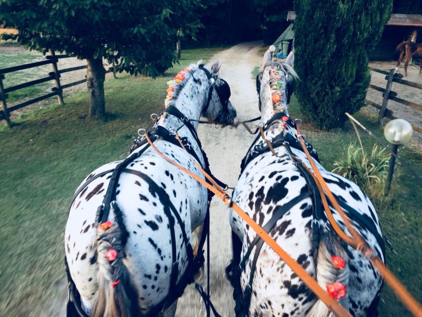 From Florence: Carriage Ride in Chianti Hills With Lunch - Directions