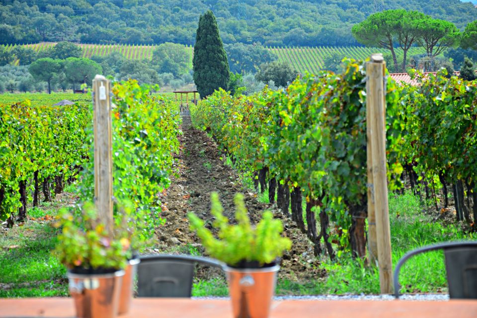 From Florence: Maremma Private Wine Tour and Suvereto - Important Information