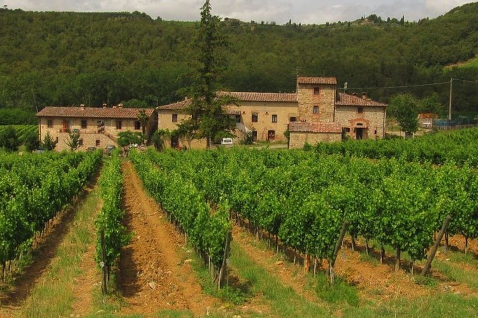 From Florence: Private Wine Tasting Tour in Chianti - Directions and Recommendations