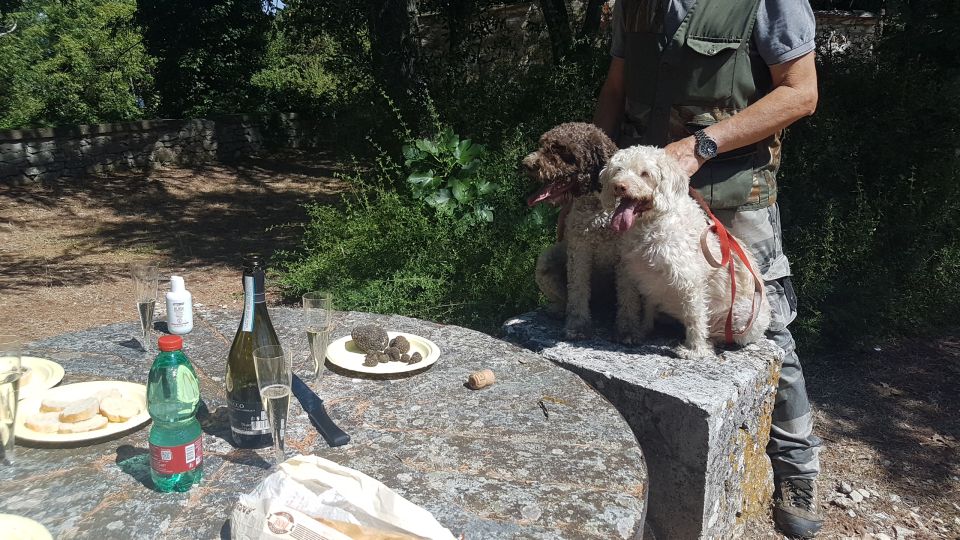 From Florence: Truffle Hunt and Lunch in the Countryside - Important Information