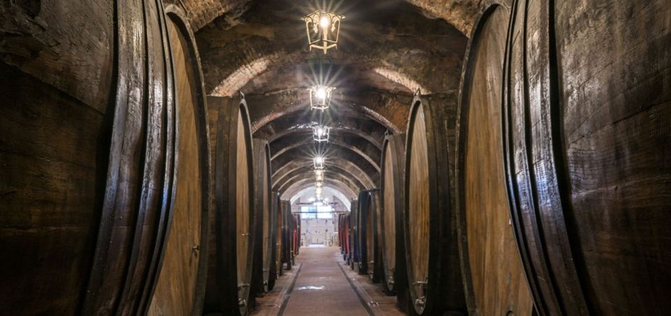 From Rome: Montepulciano and Pienza Tour With Wine Tasting - Final Words