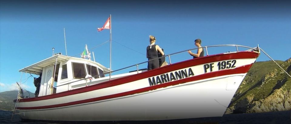 MARINA DI CAMPO: DIVING ON THE ISLAND OF ELBA AND PIANOSA - Meeting Point and Departure Details