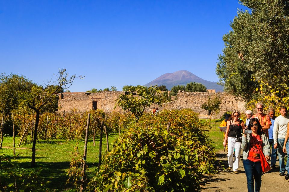 Private Pompeii & Vesuvius Wine Tasting Tour - Frequently Asked Questions