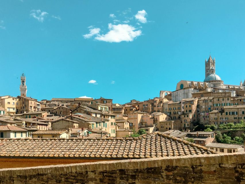 Private Tour From Florence: Siena, San Gimignano & Chianti - Important Information