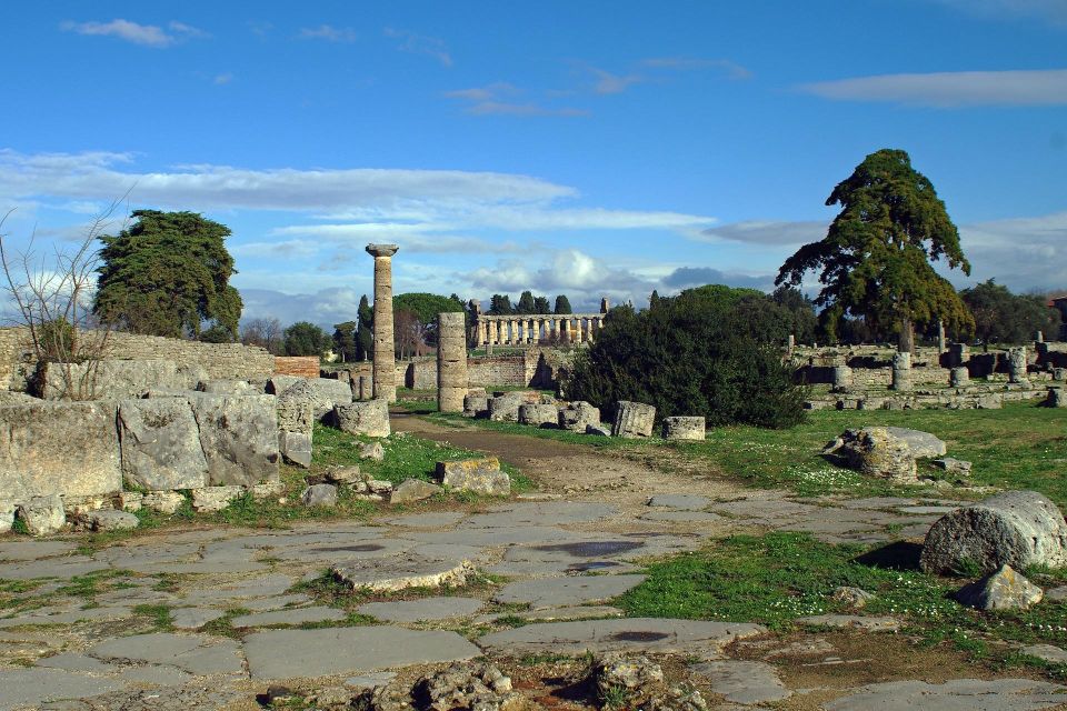 Private Tour From Naples to the Greek Temples of Paestum - Additional Details