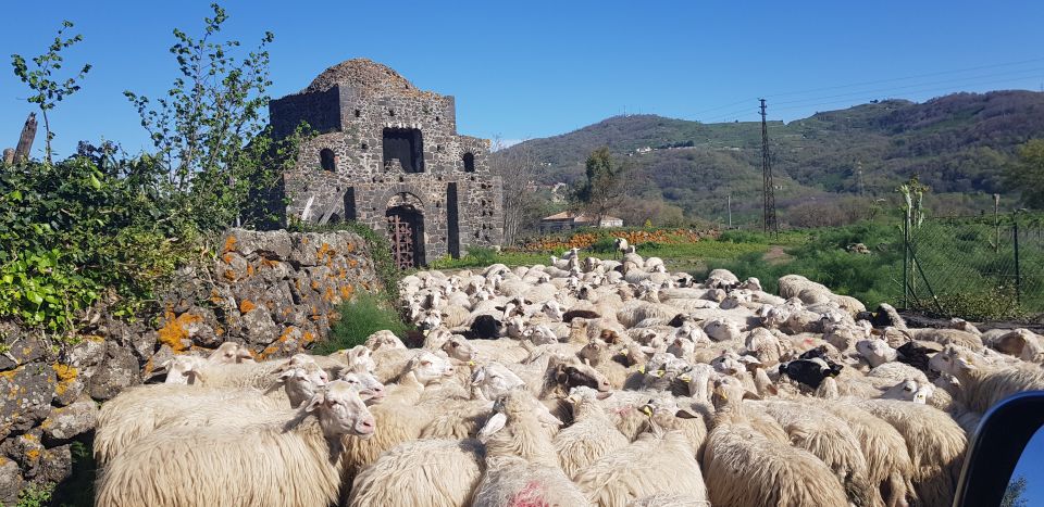 Sicily: Mount Etna 4x4 Jeep Tour With Lava Caves & Forests - Frequently Asked Questions