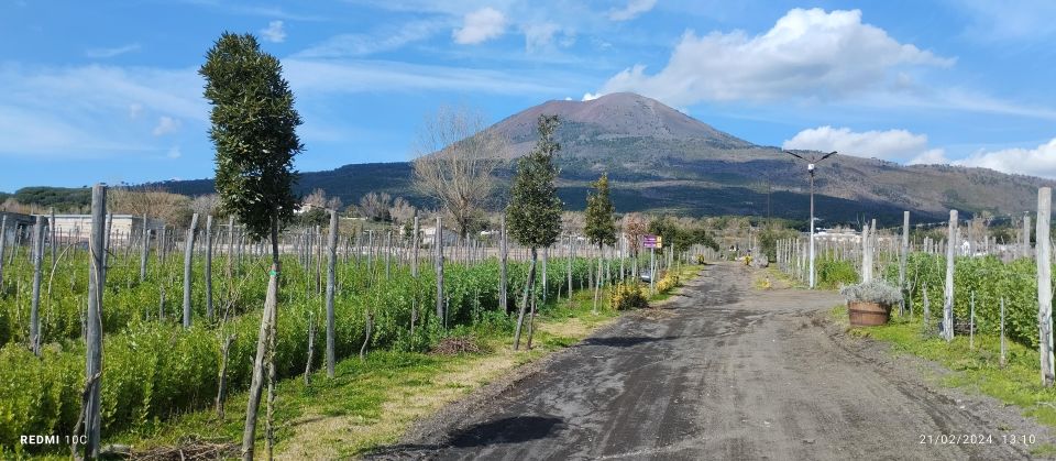 Tour Pompeii and Vesuvius Winery Experience From Naples - Final Words