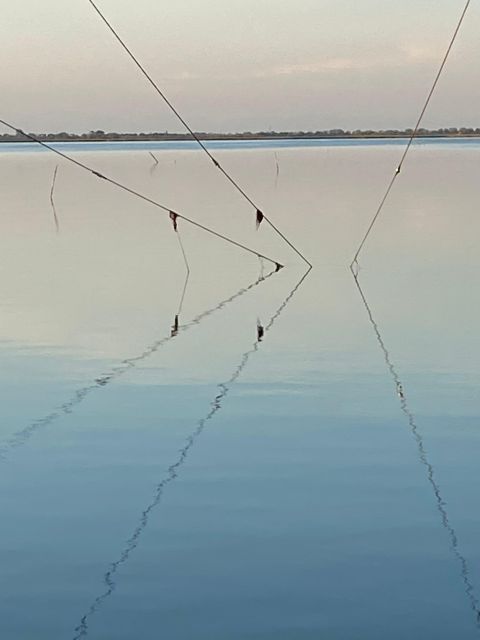 Birdwatching: in Laguna Di Venezia - Final Words