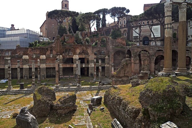 Colosseum, Roman Forum and Palatine Hill Tour Professional Guided Tour - Overall Experience Analysis