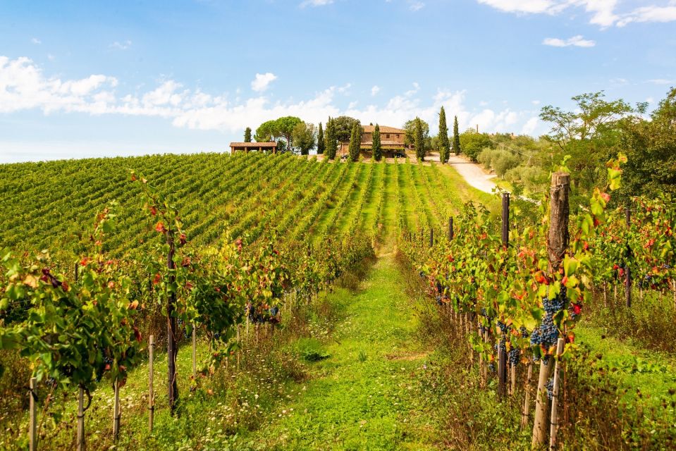 Florence: Private Half-Day Chianti Tour - Frequently Asked Questions