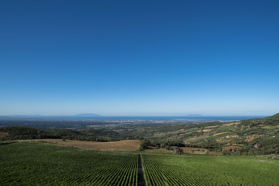 From Florence PRIVATE: Bolgheri Wine Tour With Tasting - Frequently Asked Questions