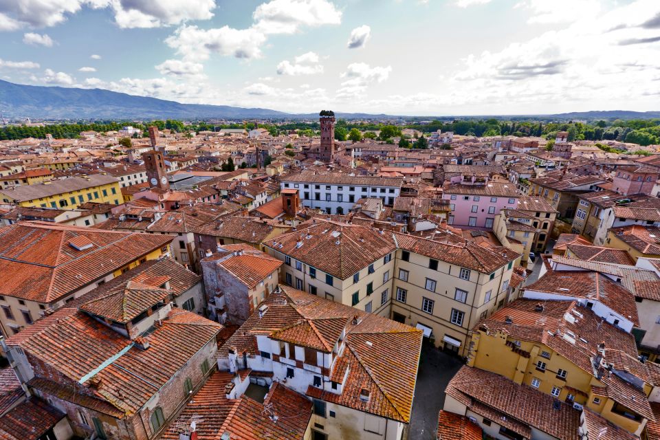 From Florence: Private Full-Day Tour of Pisa and Lucca - Important Information