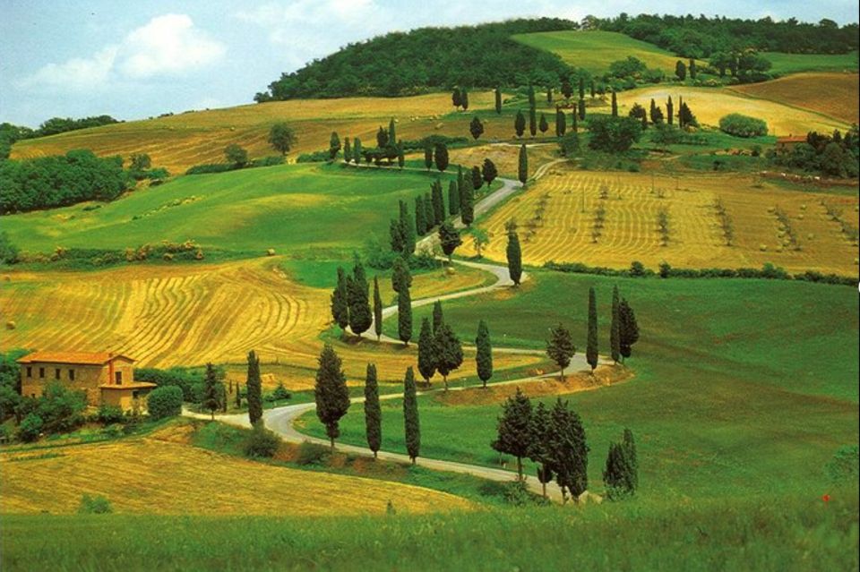 From Florence: Private Wine Tasting Tour in Chianti - Additional Information