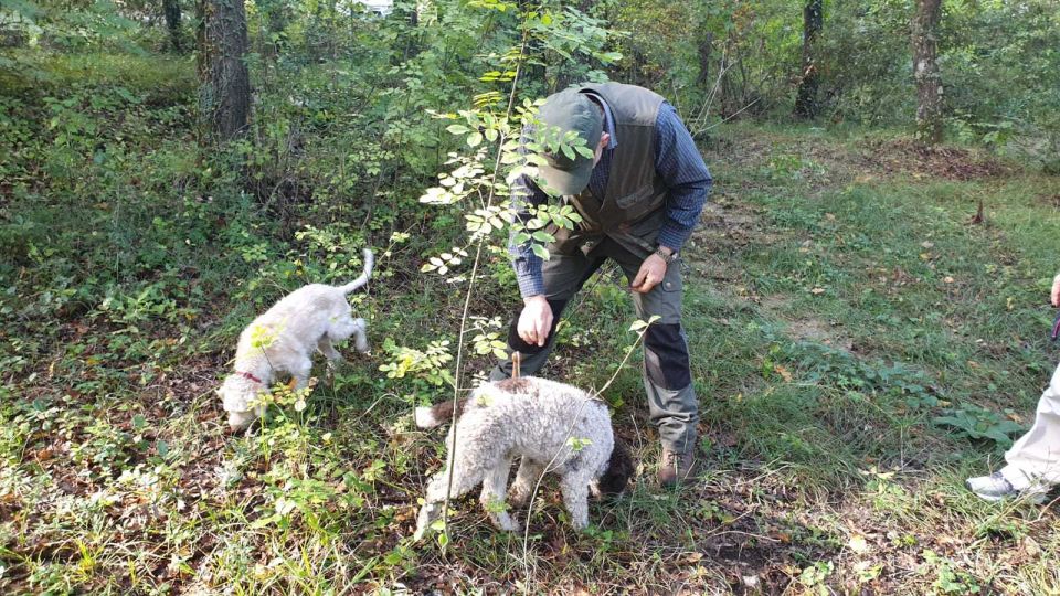 From Florence: Truffle Hunt and Lunch in the Countryside - Frequently Asked Questions