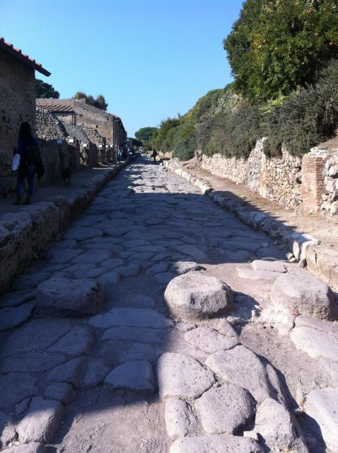 Naples: Pompeii & Herculaneum Tour W/ Lunch & Wine Tasting - Final Words