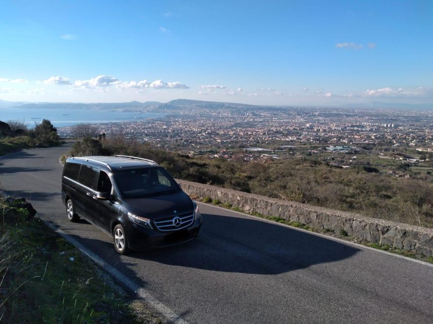 Napoli: Day Trip Transfer Napoli to Pompeii & Stop for Pizza - Licensed Tour Guide Information