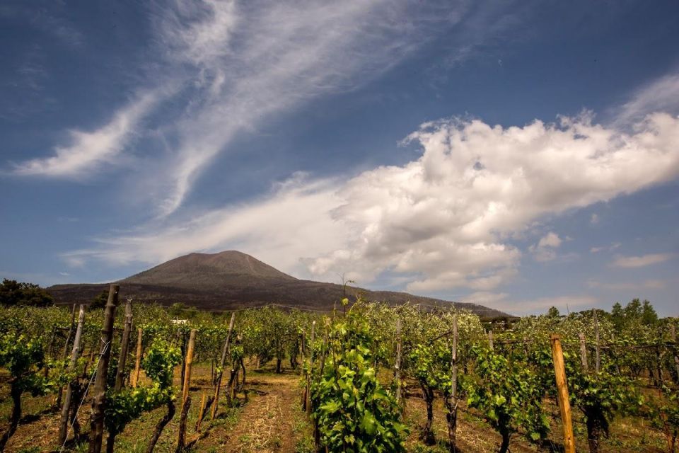 Shared Group: Pompeii Tour and Wine Tasting - Final Words