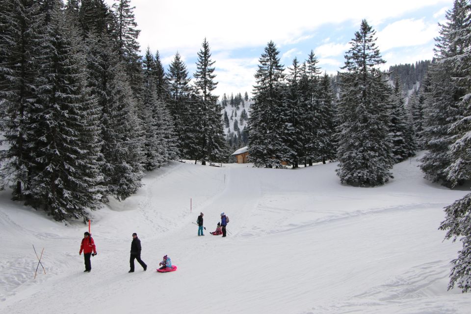 Switzerland: Private Sledging Day Tour - Tour Directions and Logistics