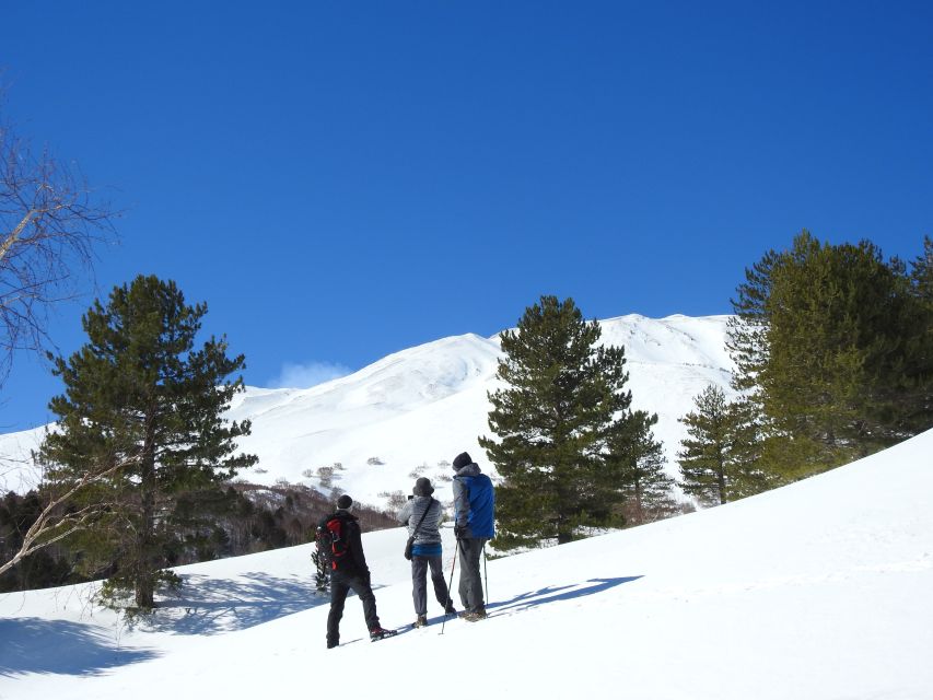 Taormina and Catania: Private Etna Exploration and Cave Tour - Safety Precautions