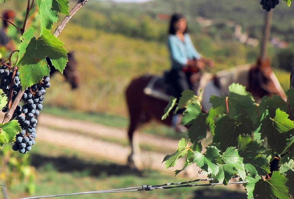 Tuscany: Horseback Riding Adventure With Lunch in a Winery - Final Words