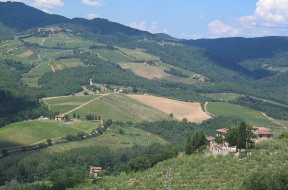 From Florence: Private Wine Tasting Tour in Chianti - Frequently Asked Questions