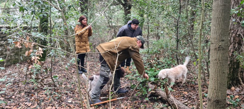 From Florence: Truffle Hunt and Lunch in the Countryside - Final Words