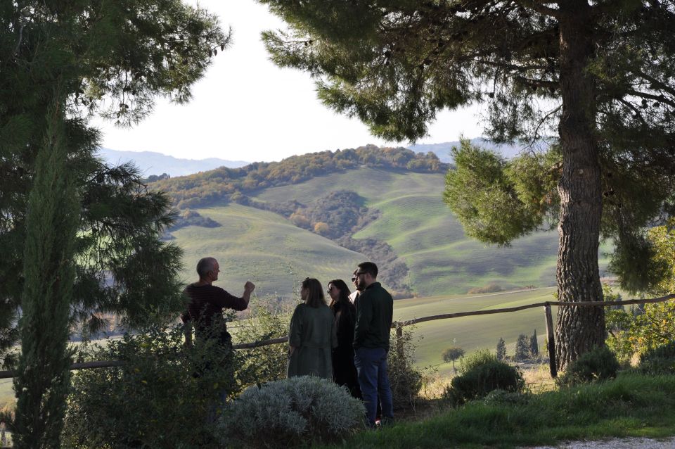 From Florence: Val D'Orcia Full-Day Wine Tasting Tour - Final Words