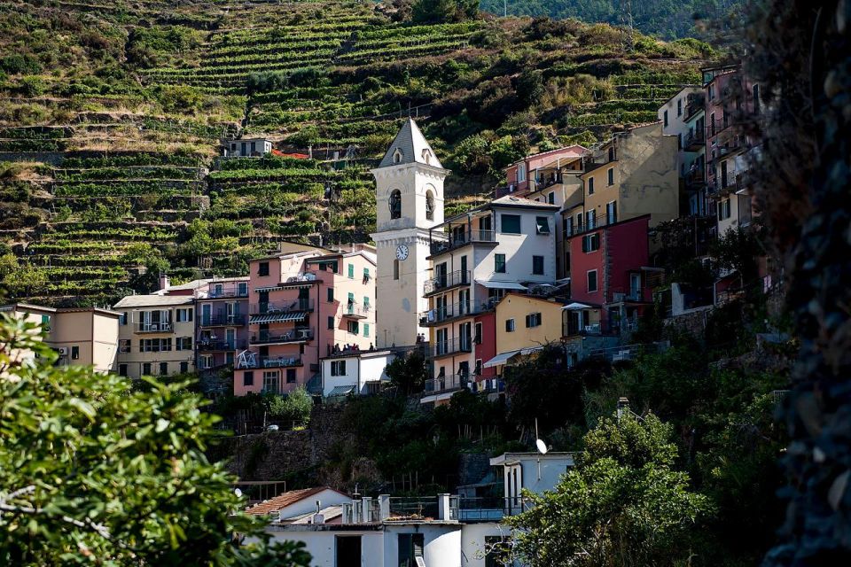 Private Cinque Terre Tour From Florence With Optional Hike - Frequently Asked Questions