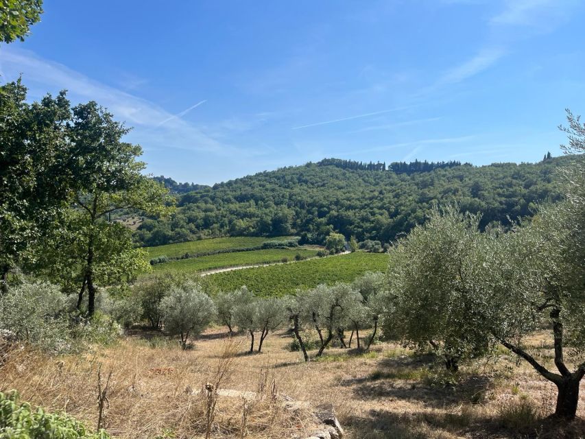 TUSCANY: WINE TASTING IN THE HEART OF CHIANTI CLASSICO - Directions and Meeting Point