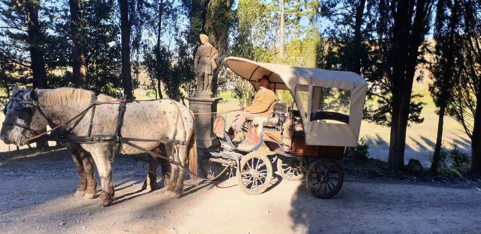 From Florence: Carriage Ride in Chianti Hills With Lunch - Final Words