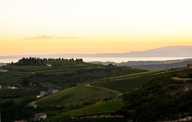 Bike Station Valpolicella: E-Bike Tour & Amarone Tasting - Just The Basics