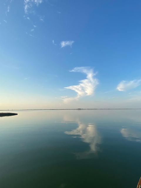 Birdwatching: in Laguna Di Venezia - Just The Basics