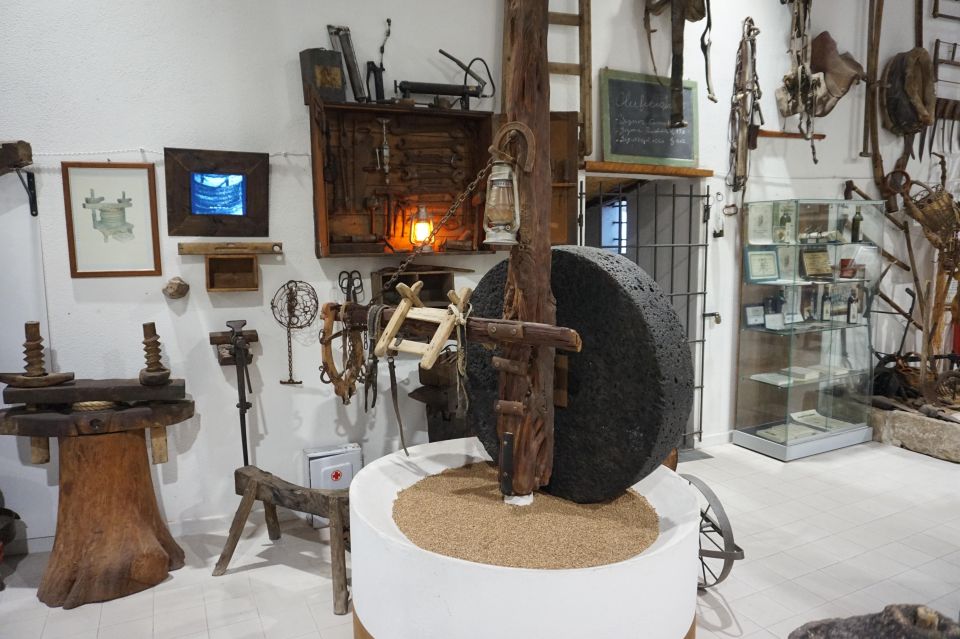 Cagliari: Exclusive Extra Virgin Olive Oil Tour at Museum - Just The Basics