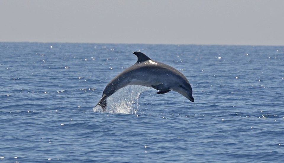 Cagliari: Southwest Chia and Teulada Private Boat Tour - Just The Basics