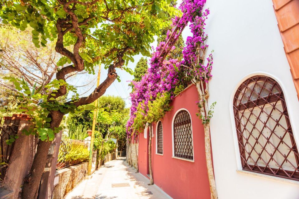 Calming Family Walking Tour in Capri - Just The Basics