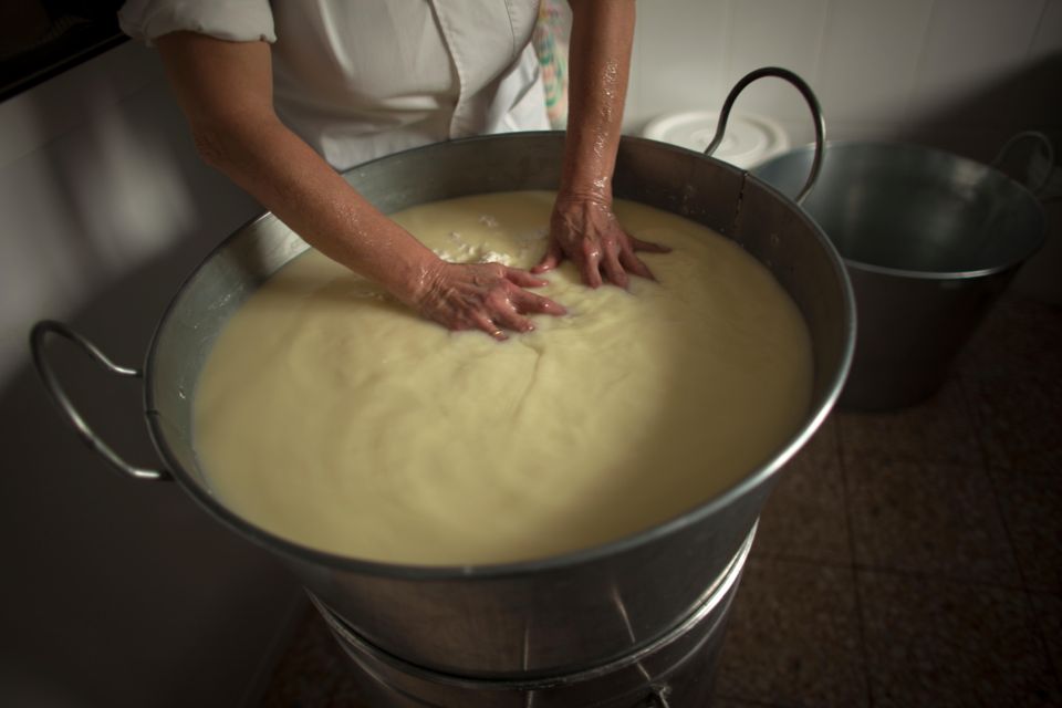 Cheese Making and Tasting Tour From Cagliari With Lunch - Just The Basics