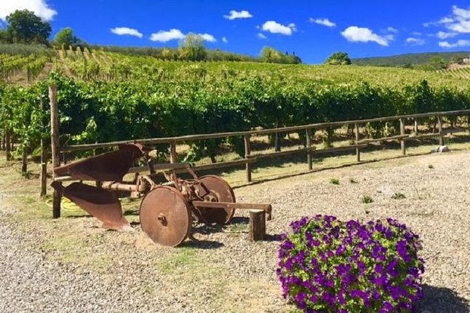 Chianti Wine and Vinci Half Day Small Group Tour From Montecatini Terme - Just The Basics