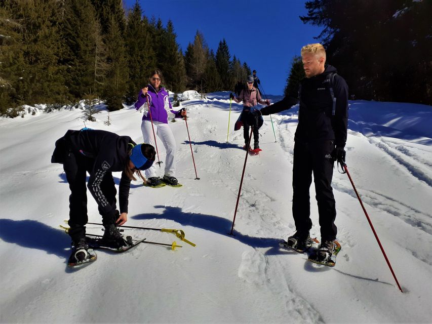 Dolomites Snowshoes Winter Hike - Just The Basics