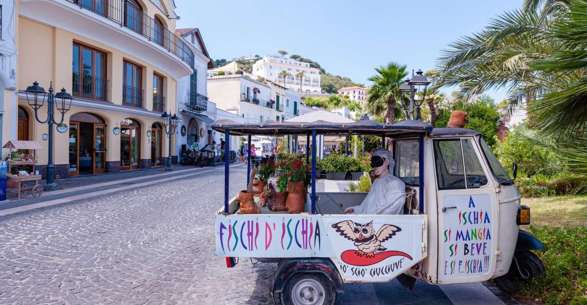 Exclusive Ischia Tour From Sorrento With Local Guide - Just The Basics