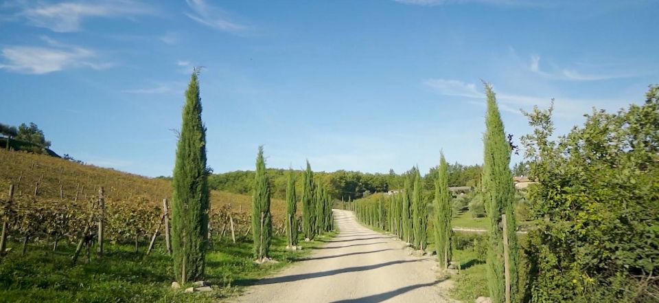 Florence: Chianti, Montalcino & Montepulciano Private Tour - Just The Basics